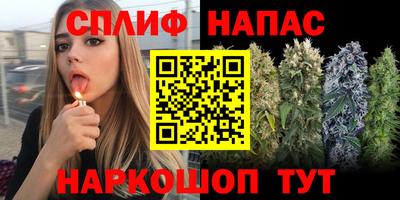 гидра Уссурийск