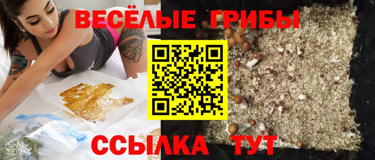 Псилоцибиновые грибы ЛСД  Псилоцибиновые грибы GOLDEN TEACHER  Луга  Вход с VPN 