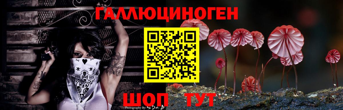 Галлюциногенные грибы прущие грибы Луга